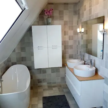 Met Prive Zwembad En Bubbelbad * Gouda